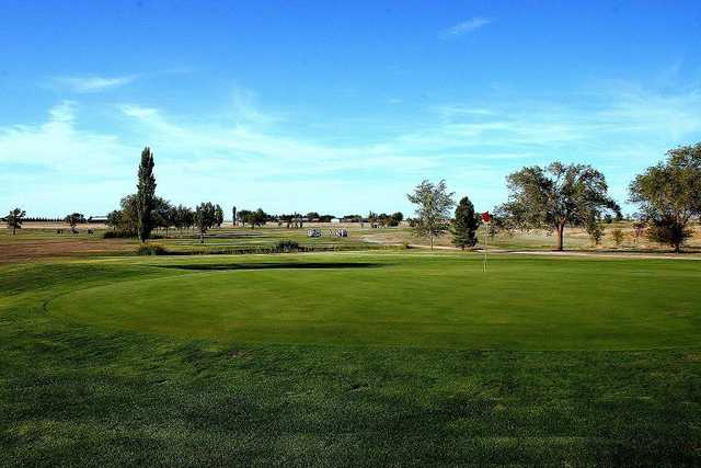 Country Club of Dimmit - photo 2