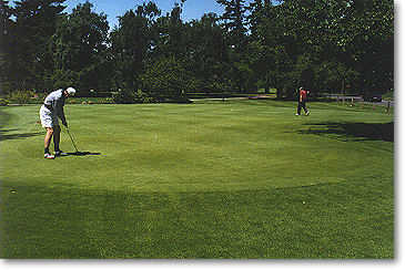 Rose City Golf Course - photo 8