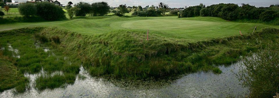 Down Royal Park Golf Course - photo 6