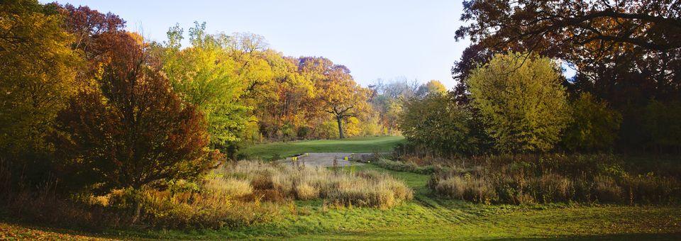 Silver Lake Rolling Hills - photo 4