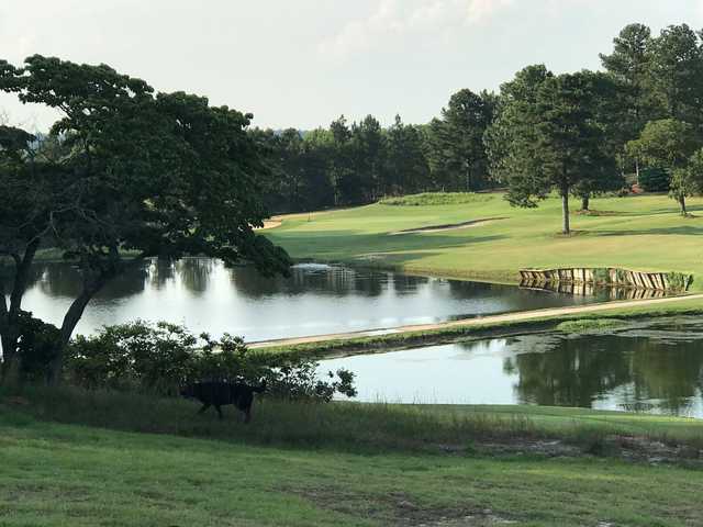 Hyland Golf Club - photo 2