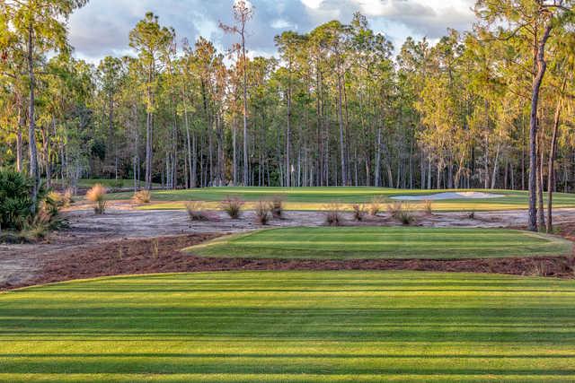 Tiburon Golf Club - Black Course - photo 3