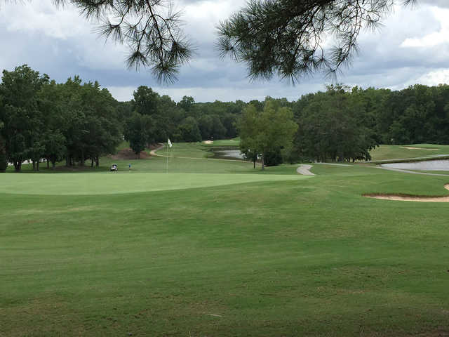 Holly Tree Country Club - photo 2