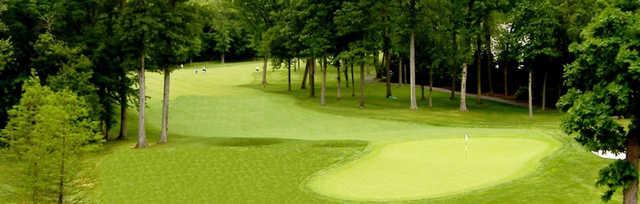 Eagle Oaks Golf Club - photo 5