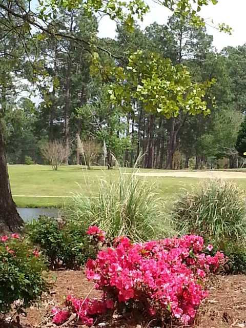 Cherokee Pines - photo 2