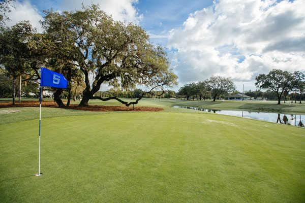 Twin Brooks Golf Course - photo 5