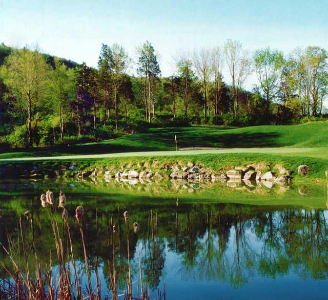 Black Bear Golf Club - photo 5