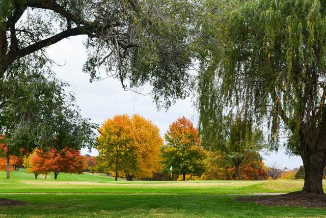 Dogwood Hills Golf Club - photo 2