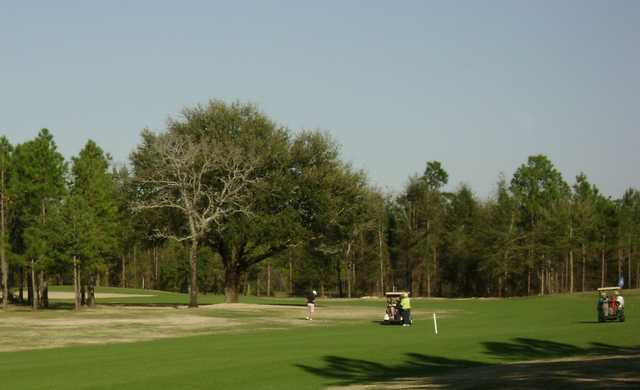 Sunny Hills Golf & Country Club - photo 2