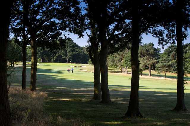 Hadley Wood - photo 3