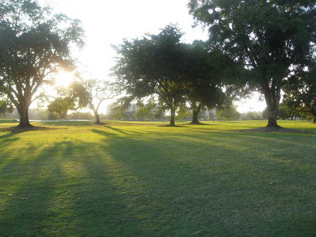 Marina Lake Golf Course - photo 2