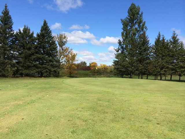 Blueberry Hills Country Club - photo 2