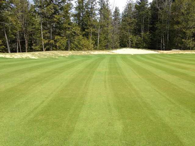 Diadema Golf Course - photo 2