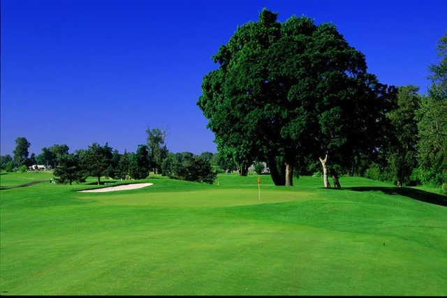 Trysting Tree Golf Club - photo 2