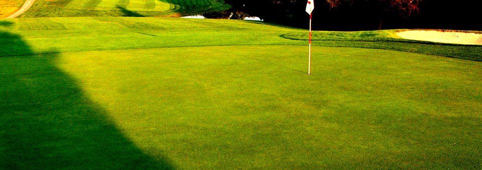 Manada Golf Club - photo 5