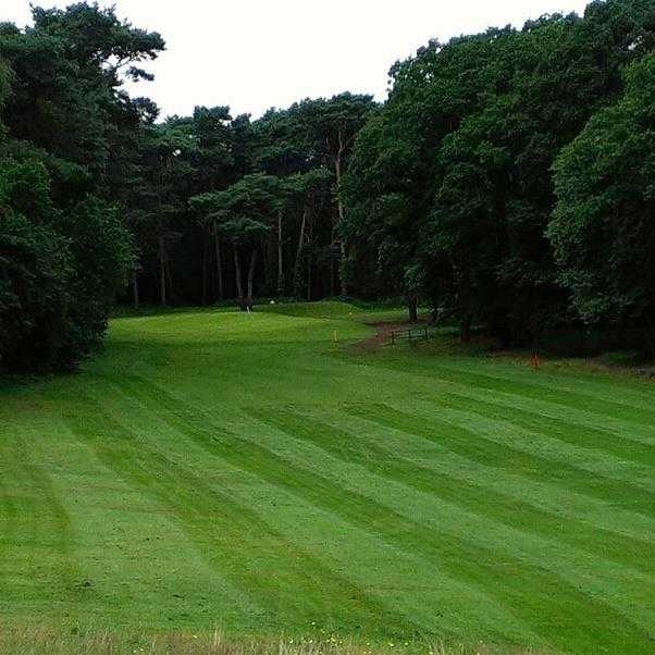 Queens Park Golf Course - Dorset - photo 7