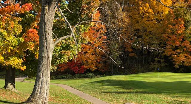 Village Green Golf Course - photo 4