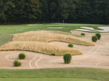 Copetown Woods - photo 2