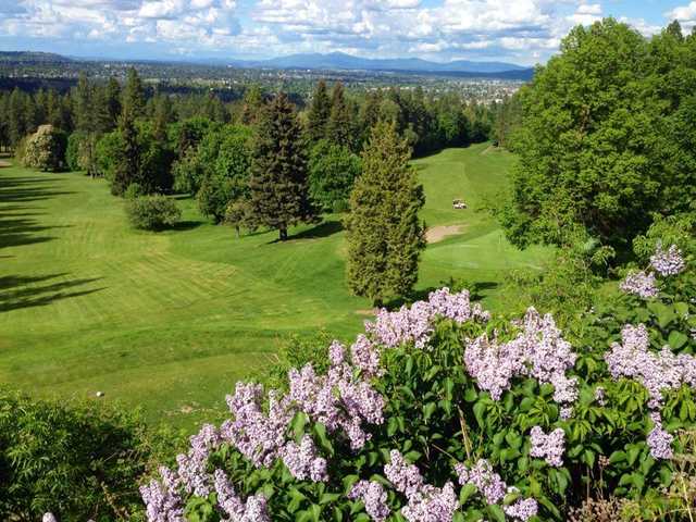 Indian Canyon Golf Course - photo 2