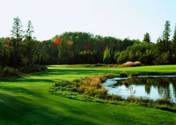 Pinewood Country Club - photo 7