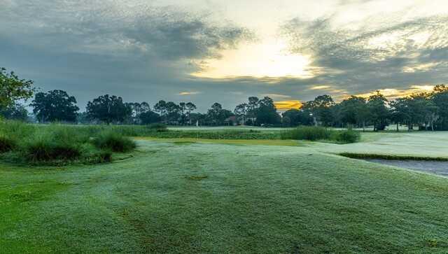 Wedgefield Golf Club - photo 5