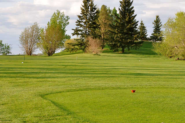 Fort In View Golf Course - photo 2