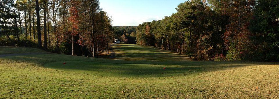 Collins Hill Golf Club - photo 8
