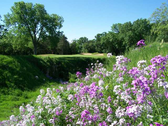 The Golf Courses of Lawsonia - Woodlands - photo 4