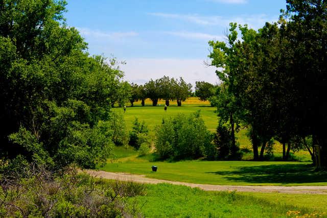 Dalhart Country Club - photo 2