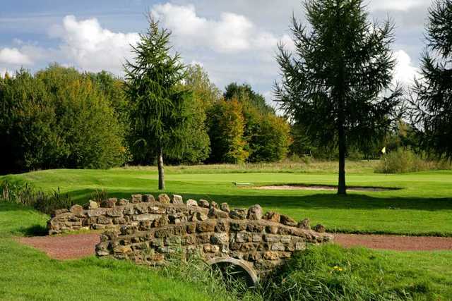 Messingham Lakes - photo 3