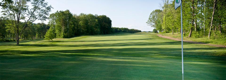 Ledges Golf Club (South Hadley, MA) - photo 6