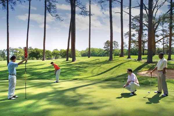 Green Course at The Golden Horseshoe - photo 3