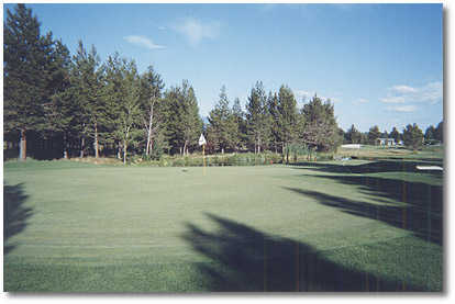 Quail Run Golf Course - photo 6
