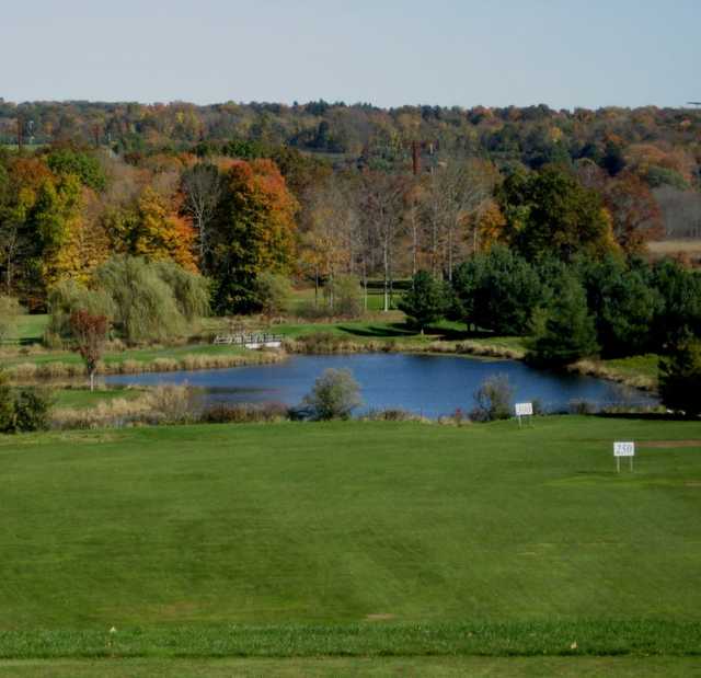 Lyman Orchards – Player - photo 2