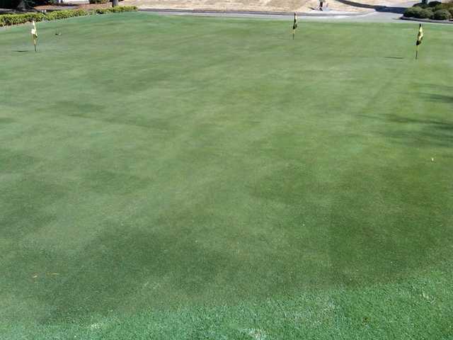 Fort Jackson Golf Club- Wildcat Course - photo 3