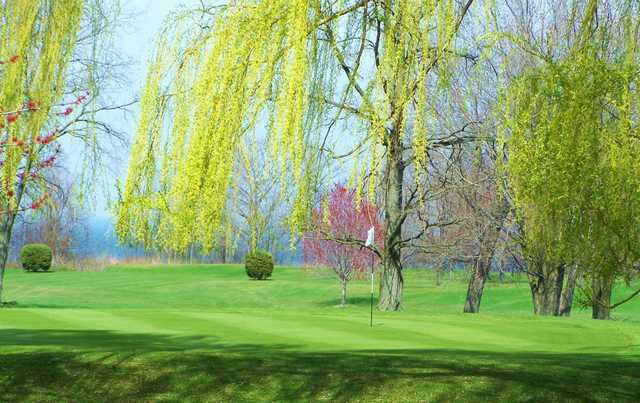 Sugar Hill Golf Course - photo 3