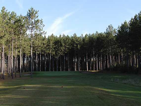 Hayward National - photo 4