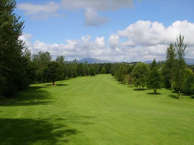 Enniscorthy Golf Club - photo 2