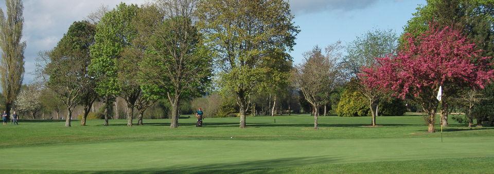 Kilkenny Golf Club - photo 7