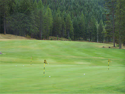 Sparwood Golf Club - photo 2