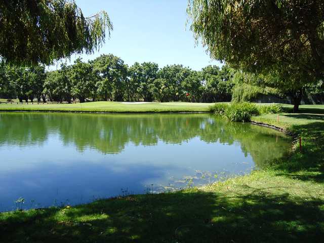 Sunnyvale Golf Course - photo 4