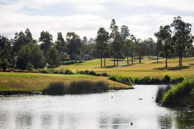 Macquarie Links Golf Club - photo 7