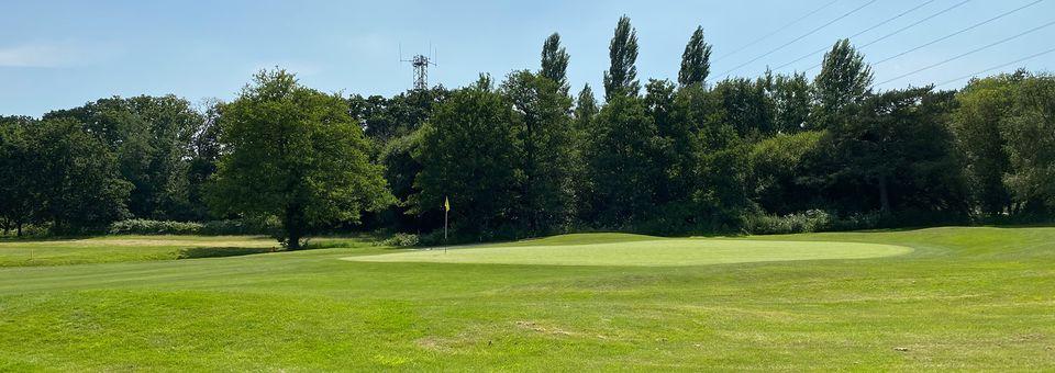 Ferndown Forest Golf Club - photo 7