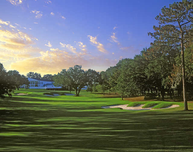Ocala National at Golden Hills Country Club