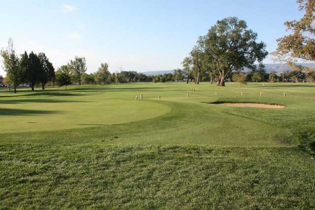 Lincoln Park Golf Course - photo 2