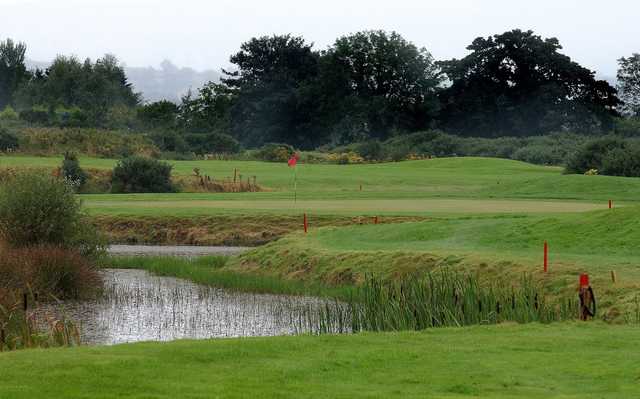 Down Royal Park Golf Course - photo 3