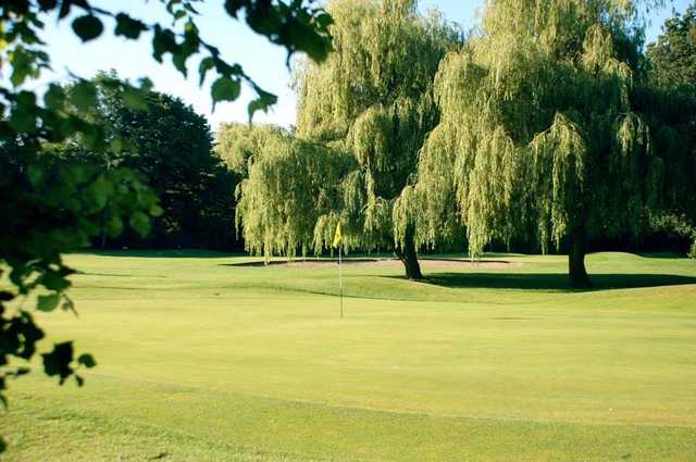 Coombe Wood Golf Club - photo 5