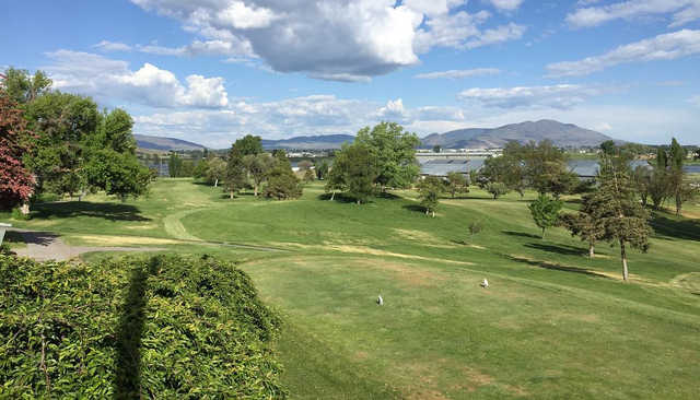Reames Golf & Country Club - photo 3