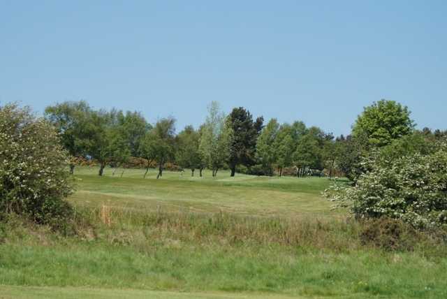 Crook Golf Club - photo 5