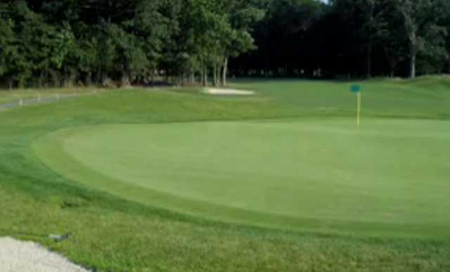 Town & Country Golf Links - photo 2